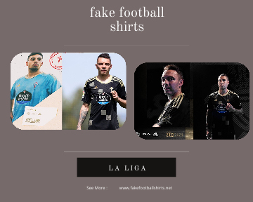fake Celta de Vigo football shirts 23-24